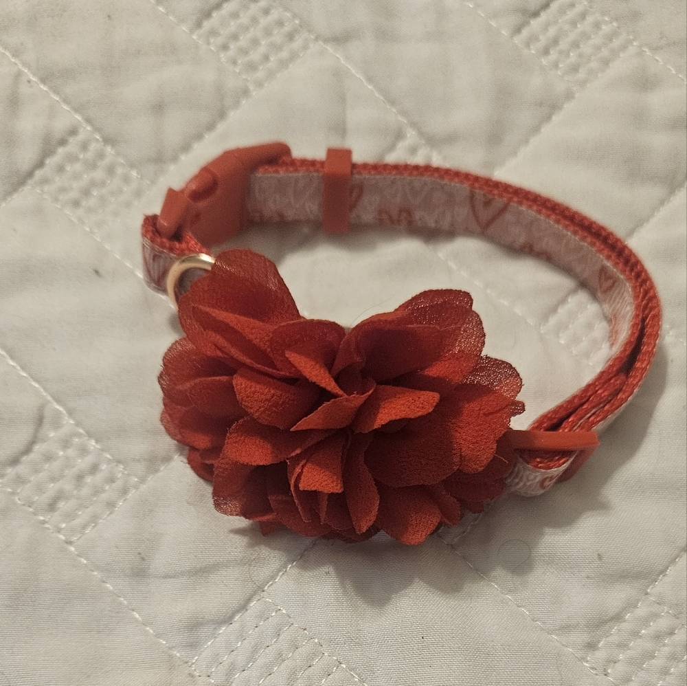 Pet Collar